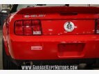 Thumbnail Photo 66 for 2007 Ford Mustang